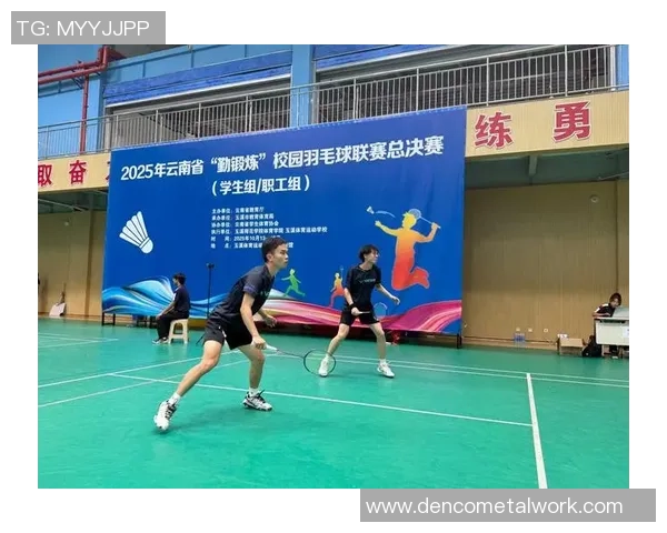 武汉羽毛球队在奥运会上的战术表现分析与点评