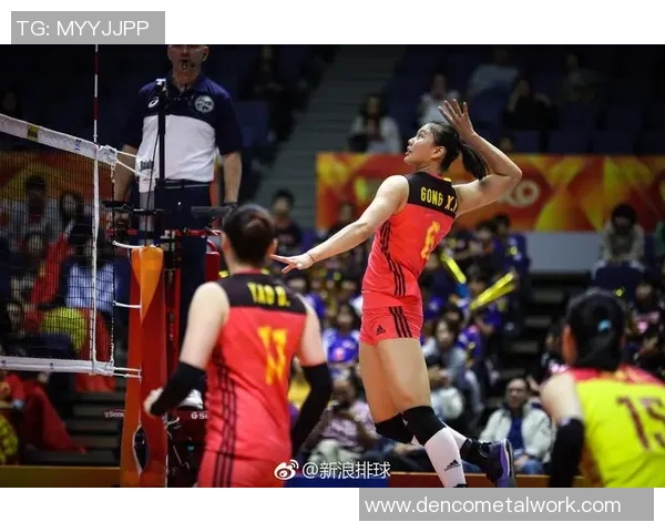 西安排球队的配合表现分析与锦标赛精彩瞬间回顾