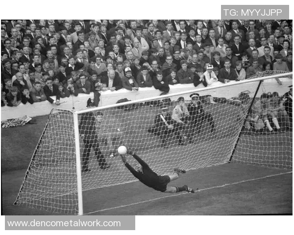 巴西足球明星的辉煌历程与对世界足球的影响探讨