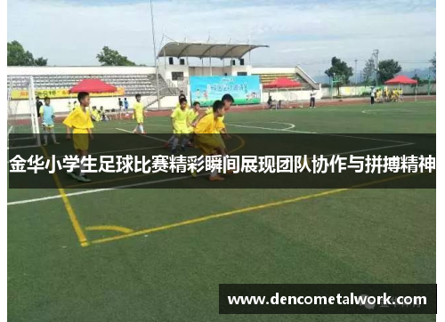 金华小学生足球比赛精彩瞬间展现团队协作与拼搏精神